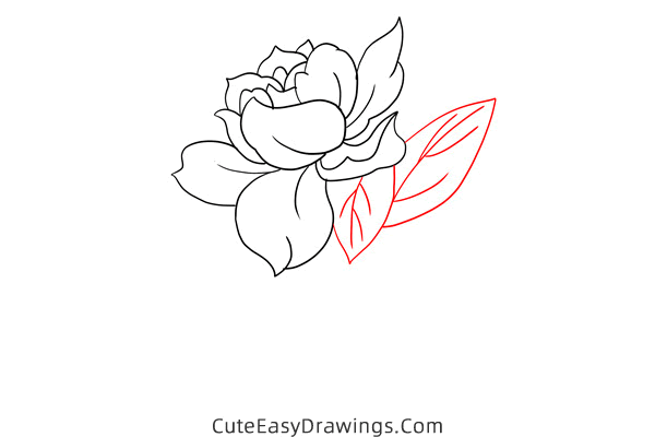 how to draw a gardenia - www.cuteeasydrawings.com