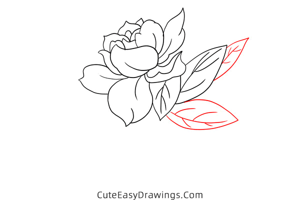 how to draw a gardenia - www.cuteeasydrawings.com