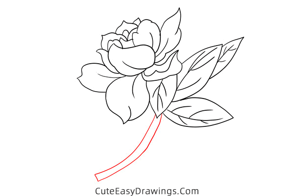 how to draw a gardenia - www.cuteeasydrawings.com