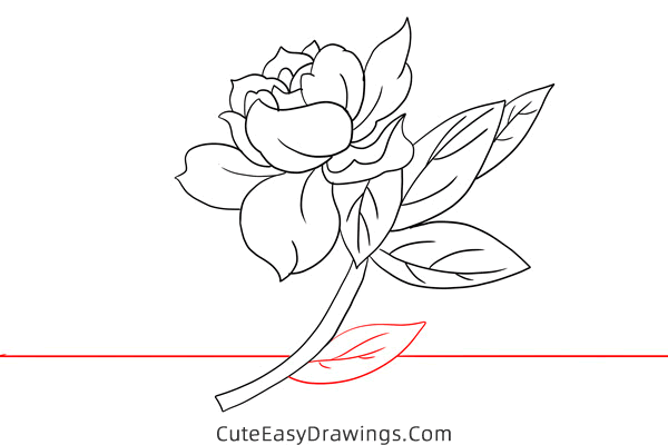 how to draw a gardenia - www.cuteeasydrawings.com