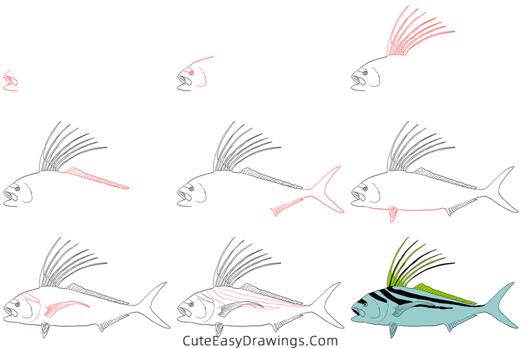 how to draw a roosterfish - www.cuteeasydrawings.com