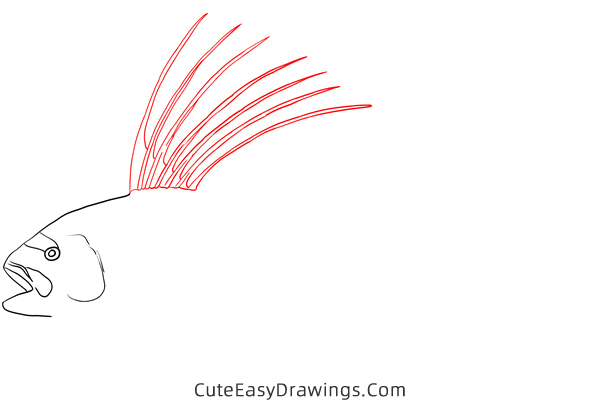 how to draw a roosterfish - www.cuteeasydrawings.com