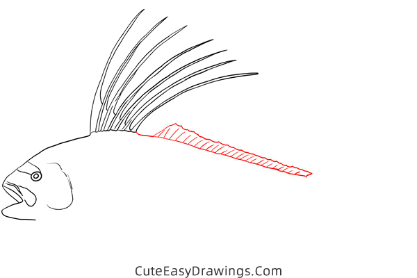 how to draw a roosterfish - www.cuteeasydrawings.com