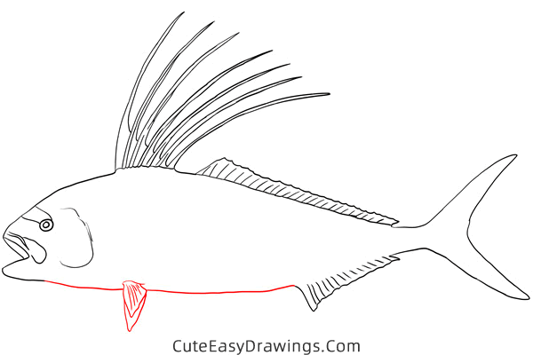 how to draw a roosterfish - www.cuteeasydrawings.com