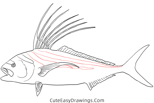 how to draw a roosterfish - www.cuteeasydrawings.com