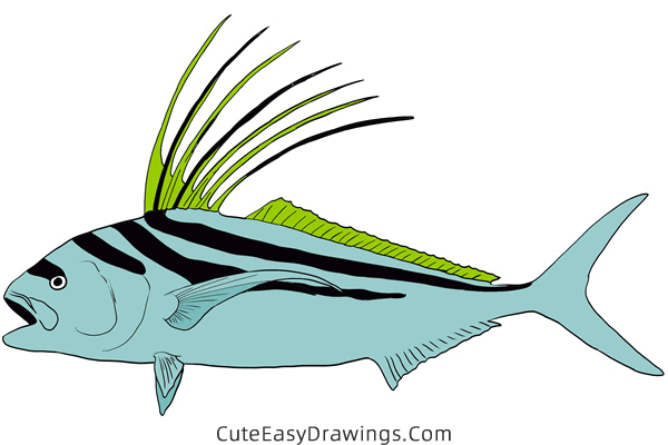 how to draw a roosterfish - www.cuteeasydrawings.com