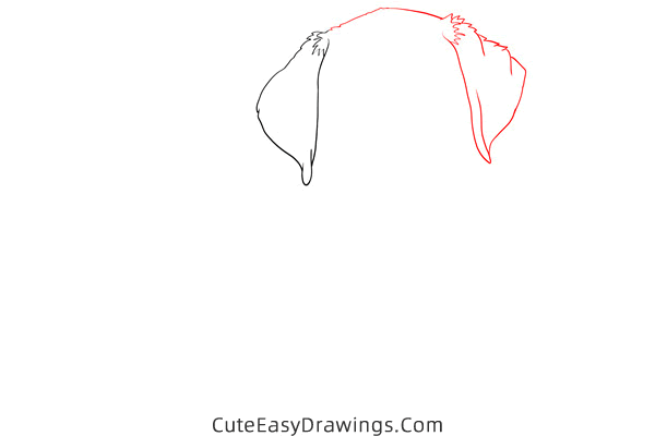 how to draw a realistic golden retriever - www.cuteeasydrawings.com