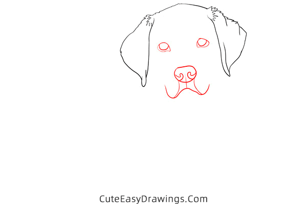 how to draw a realistic golden retriever - www.cuteeasydrawings.com