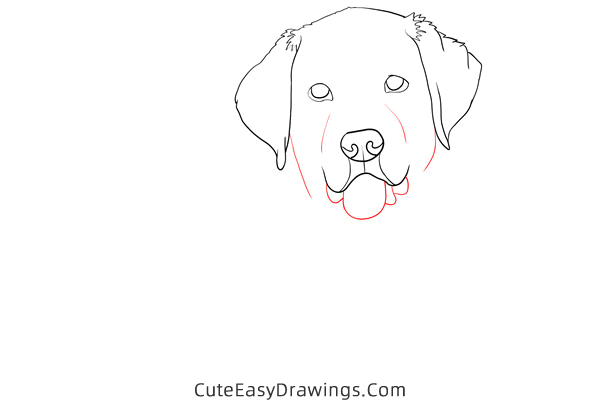 how to draw a realistic golden retriever - www.cuteeasydrawings.com