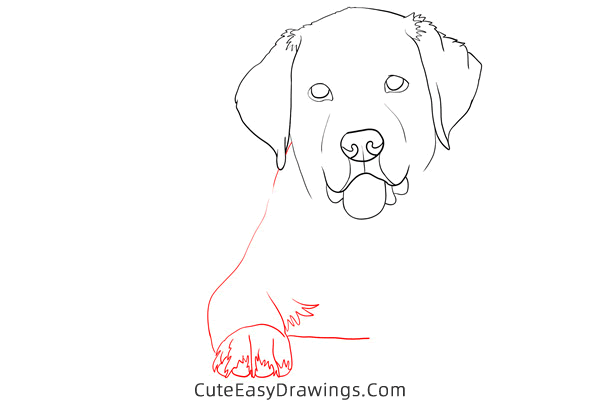 how to draw a realistic golden retriever - www.cuteeasydrawings.com