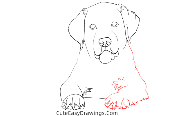 how to draw a realistic golden retriever - www.cuteeasydrawings.com