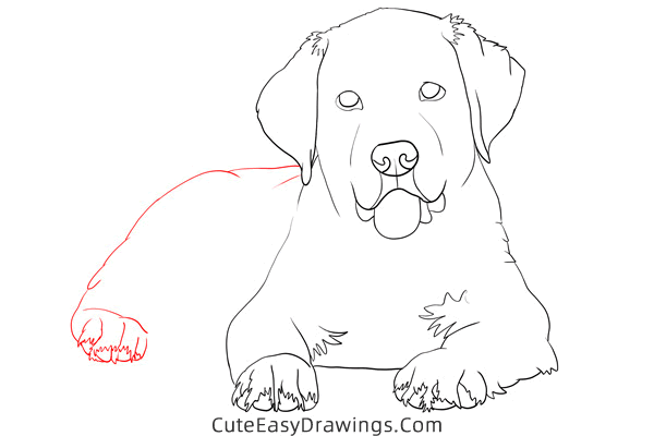 how to draw a realistic golden retriever - www.cuteeasydrawings.com