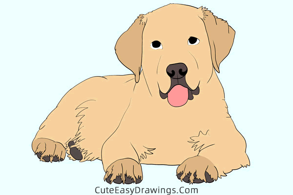 how to draw a realistic golden retriever - www.cuteeasydrawings.com