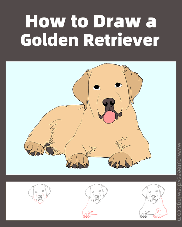 how to draw a realistic golden retriever - www.cuteeasydrawings.com