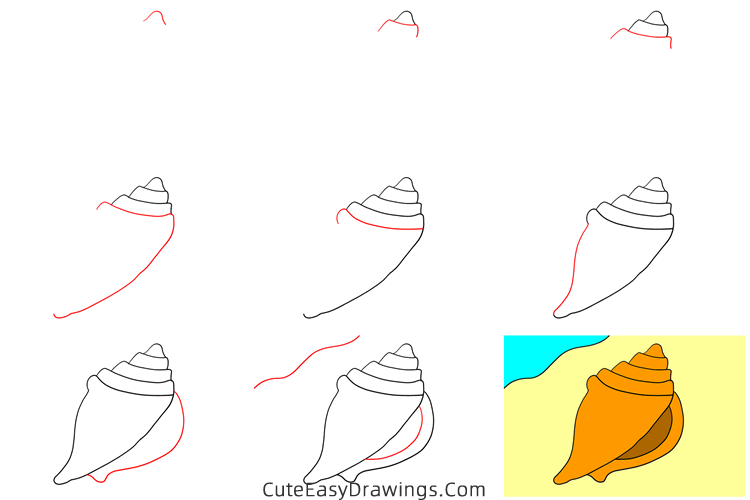 how to draw a conch shell - www.cuteeasydrawings.com