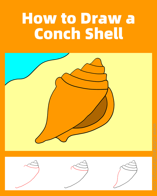 how to draw a conch shell - www.cuteeasydrawings.com