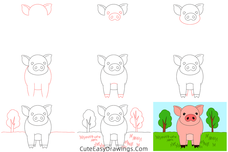 how to draw a pig - www.cuteeasydrawings.com