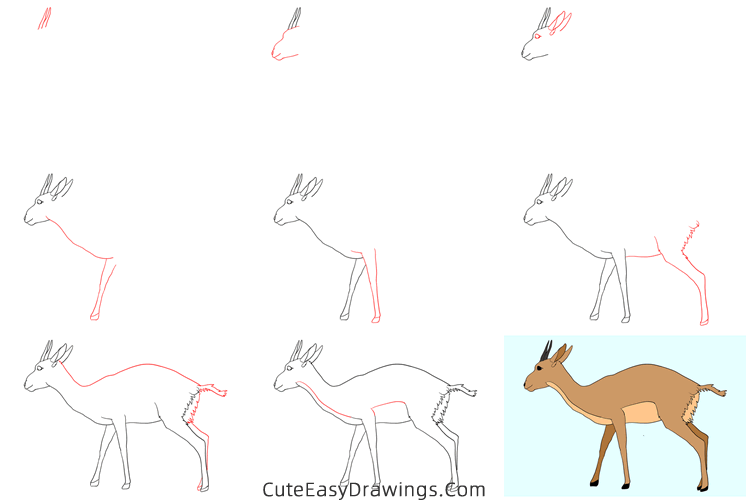 how to draw a gazelle - www.cuteeasydrawings.com