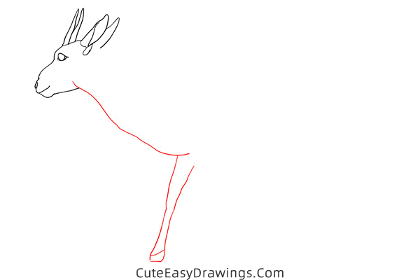 how to draw a gazelle - www.cuteeasydrawings.com