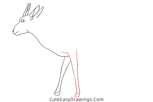 how to draw a gazelle - www.cuteeasydrawings.com