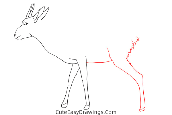 how to draw a gazelle - www.cuteeasydrawings.com