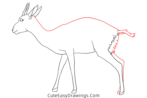 how to draw a gazelle - www.cuteeasydrawings.com