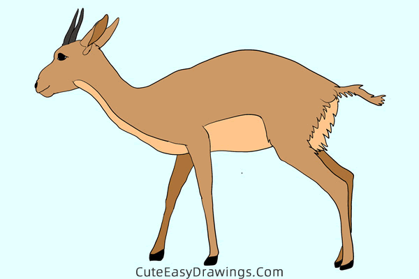 how to draw a gazelle - www.cuteeasydrawings.com