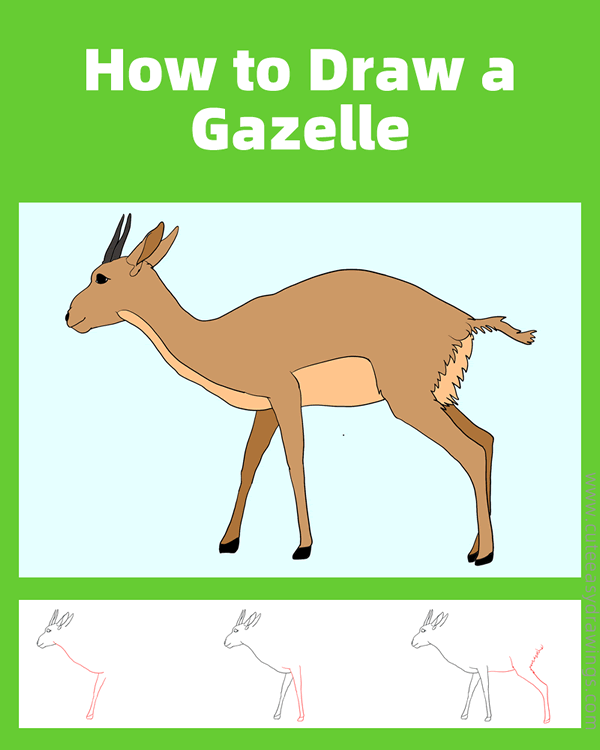 how to draw a gazelle - www.cuteeasydrawings.com