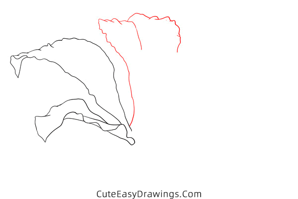 how to draw a realistic bauhinia flower - www.cuteeasydrawings.com