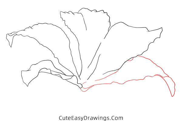 how to draw a realistic bauhinia flower - www.cuteeasydrawings.com